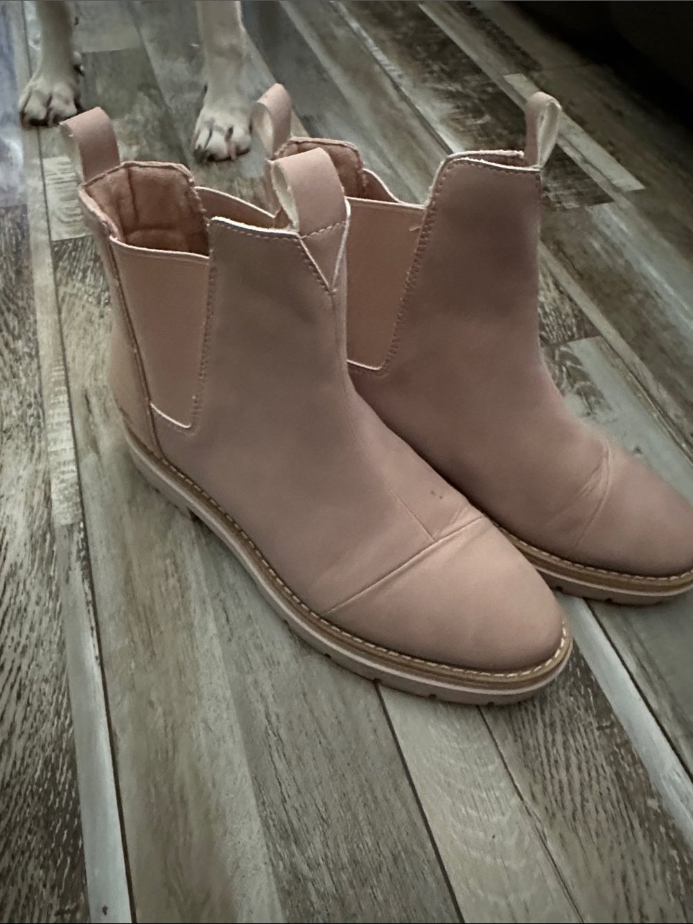 Toms Dusty Pink Chelsea Ankle Boots